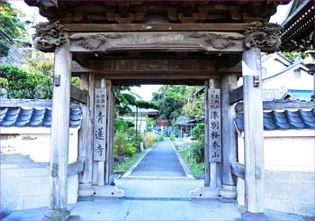 青蓮寺