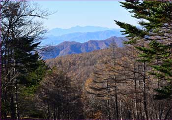 晩秋の景