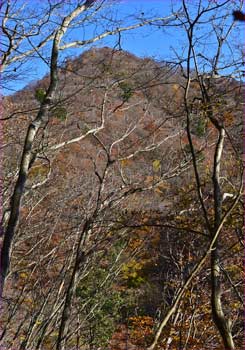 浜立山