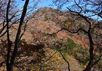 浜立山