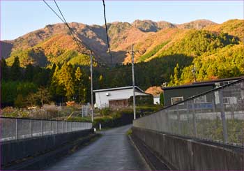 滝子山黄昏