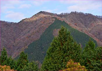 伊勢沢の頭