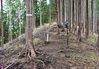 高松山分岐