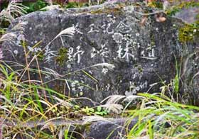 林道秦野峠