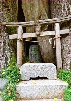 神木の祠