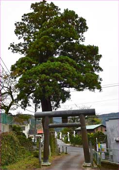 寄神社