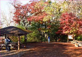 奧高尾へ