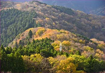 晩秋の尾根