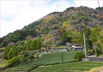 市間の景