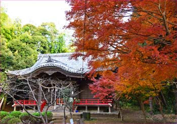 吾妻神社