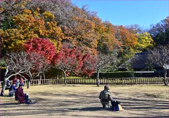 新林公園