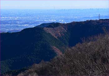 東京展望