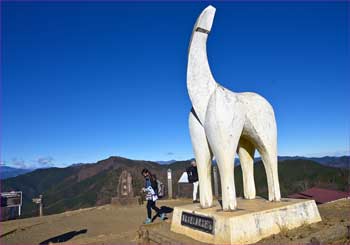 陣馬山山頂