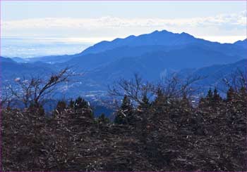 相模湾が