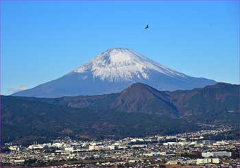 新年に舞う