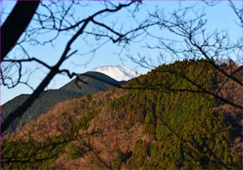 富士山も山の端に