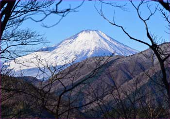 富士山