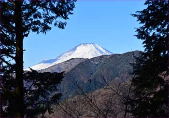 富士山