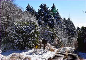 雪景