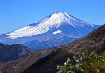 富士山