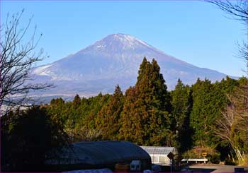 富士山