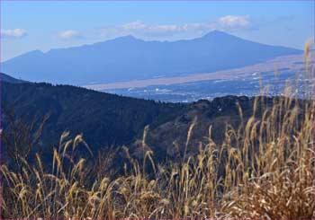 愛鷹山