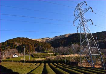 茶畑から大野山