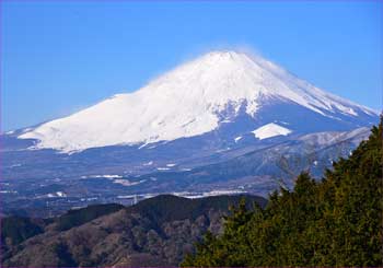 富士すっきり