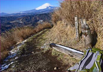 スカイツリーの高さで