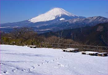 富士山