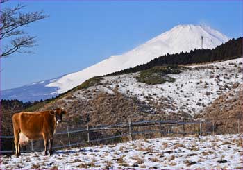 富士山