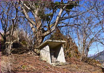 山神社