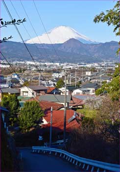 富士山