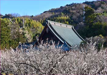 瑞雲寺