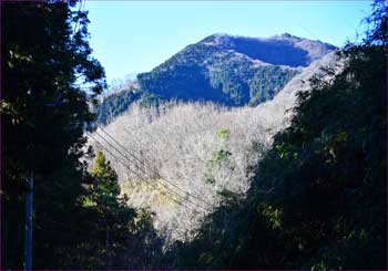 倉岳山