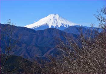 倉岳山からの富士