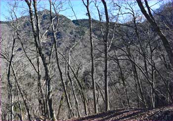 倉岳山