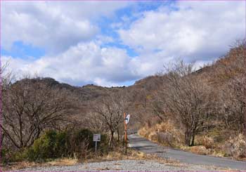 白銀林道