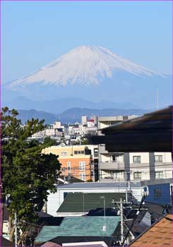 富士山