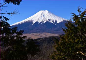 富士山