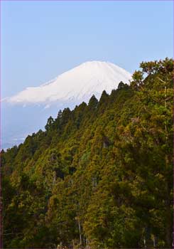 富士山