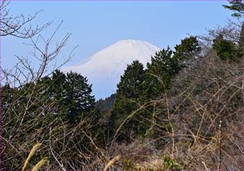 富士山