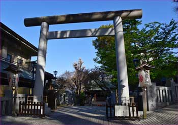 五條天神社鳥居