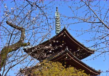 寛永寺の五重塔