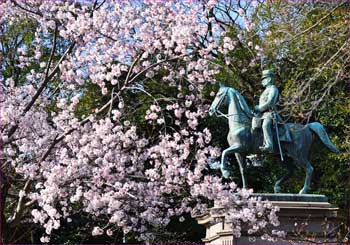 桜咲く