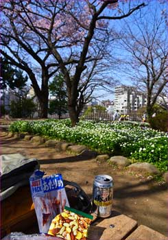 花見で一杯