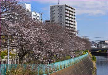 境川