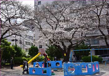 東奥田公園