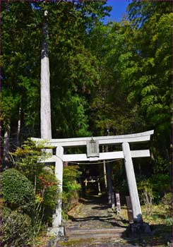 八幡宮鳥居