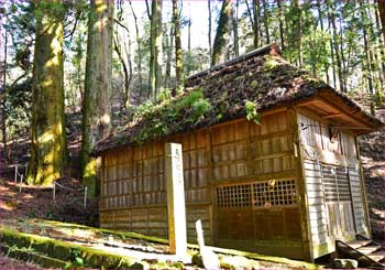 八幡宮杉神社